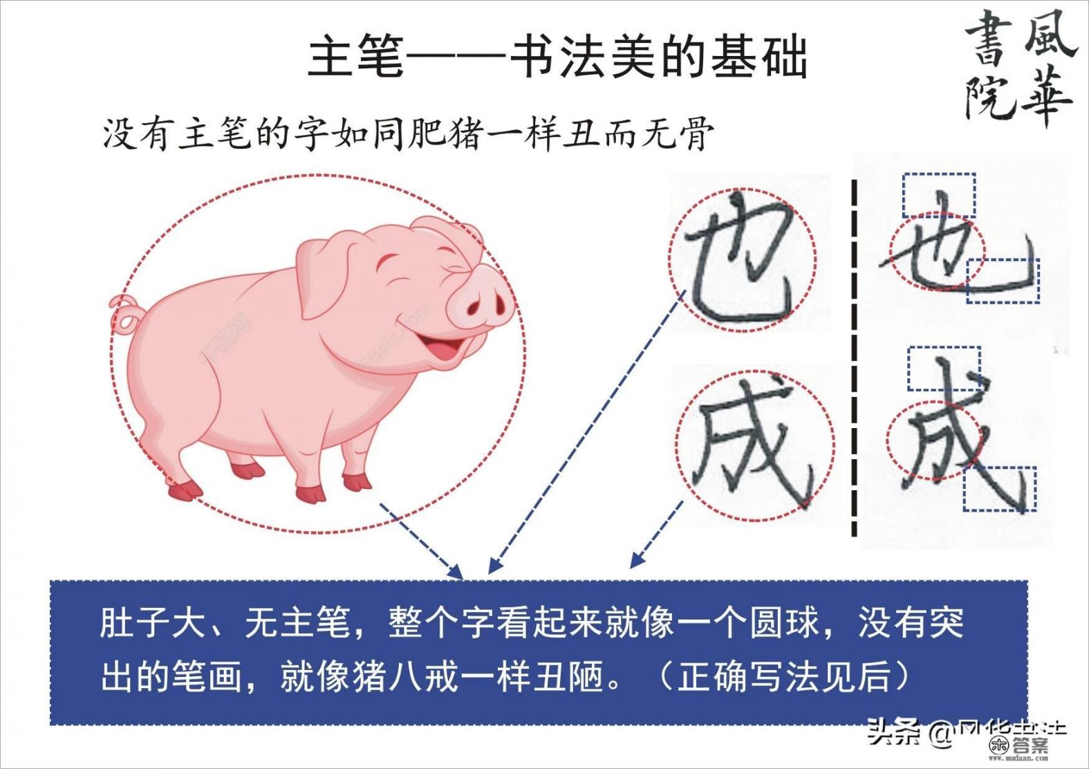 线上语言班怎么上课？