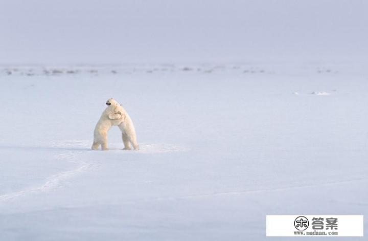 以前自己从不流泪，现在看到一些感动的事就流泪，是脆弱吗？