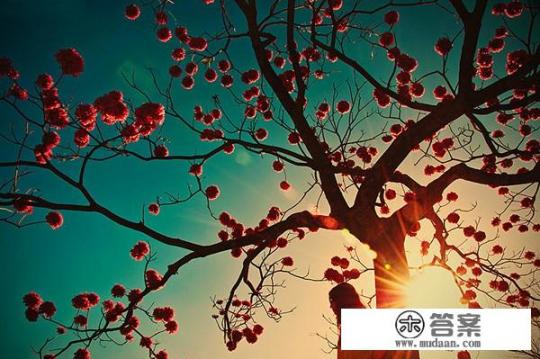 以前自己从不流泪，现在看到一些感动的事就流泪，是脆弱吗？