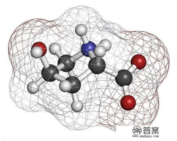 胶原蛋白是什么东西啊？