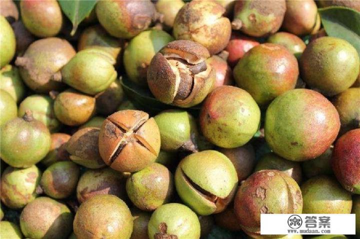 茶籽油多少一斤? 茶籽油多少一斤?