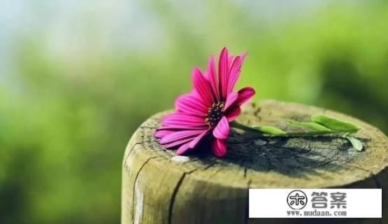 女孩转身离开时从不回头说明什么？