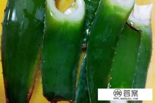 芦荟怎么吃的正确方法? 芦荟怎么吃的正确方法?