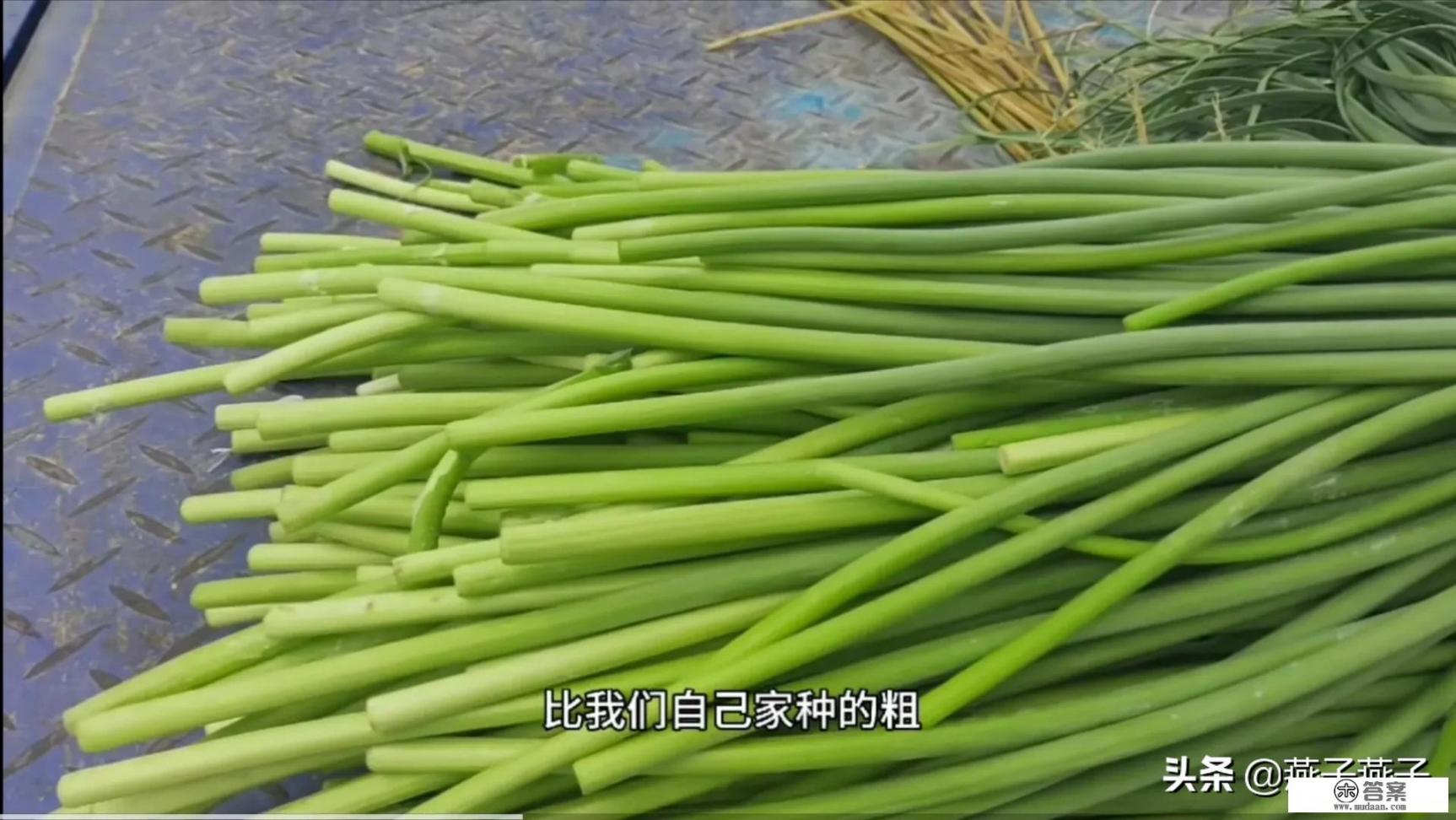 今年蒜农地里大蒜七八毛一斤,但超市蒜价格却达7块一斤,正常吗? 今年蒜农地里大蒜七八毛一斤,但超市蒜价格却达7块一斤,正常吗?