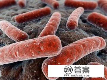 卡介苗是什么? 卡介苗是什么?