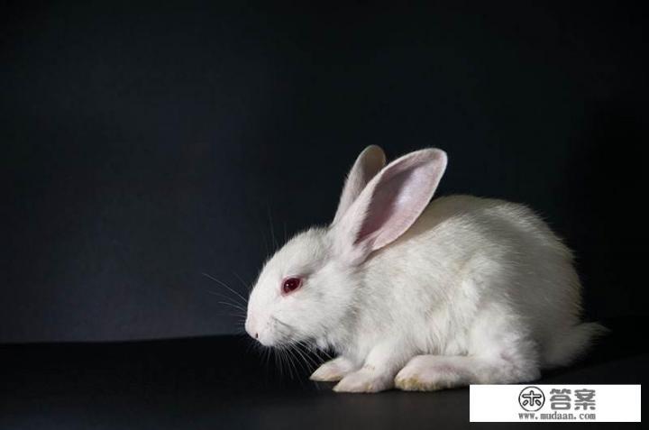 小时候常听大人说“红眼绿鼻子,四个毛蹄子”究竟是什么动物? 小时候常听大人说“红眼绿鼻子,四个毛蹄子”究竟是什么动物?