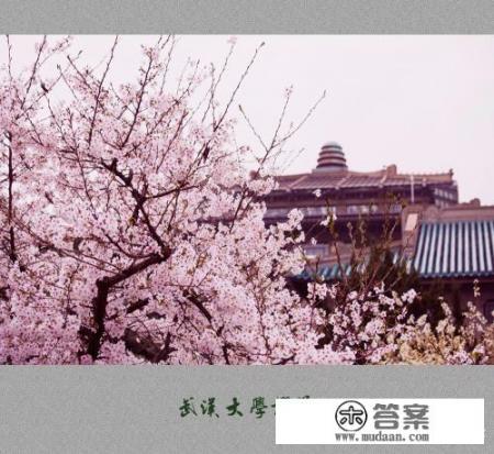 全国重点大学最多的省? 全国重点大学最多的省?