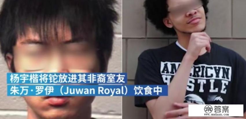 中国留学生网购铊毒害室友数月，现已认罪，曾获学校两项化学学术奖，他将承担怎样的法律责任？