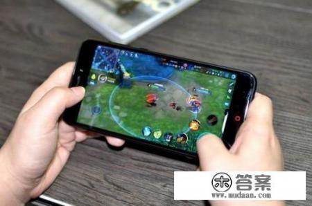 暴躁先生蜜蜂关怎么过？