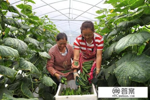 农村大学生毕业后回家种地到底丢不丢人？