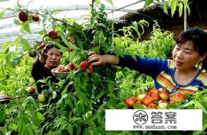 农村大学生毕业后回家种地到底丢不丢人？