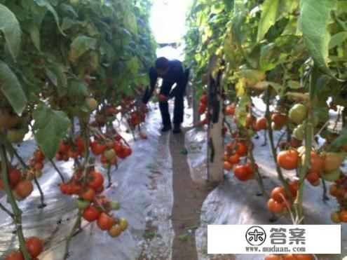 农村大学生毕业后回家种地到底丢不丢人？