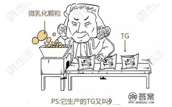 什么叫甘油三脂？