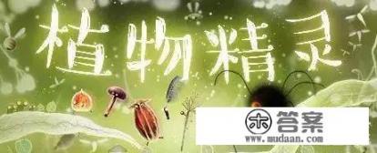 画风特别唯美的游戏? 画风特别唯美的游戏?