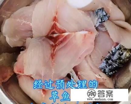 香酥油炸石锅鱼做法? 香酥油炸石锅鱼做法?