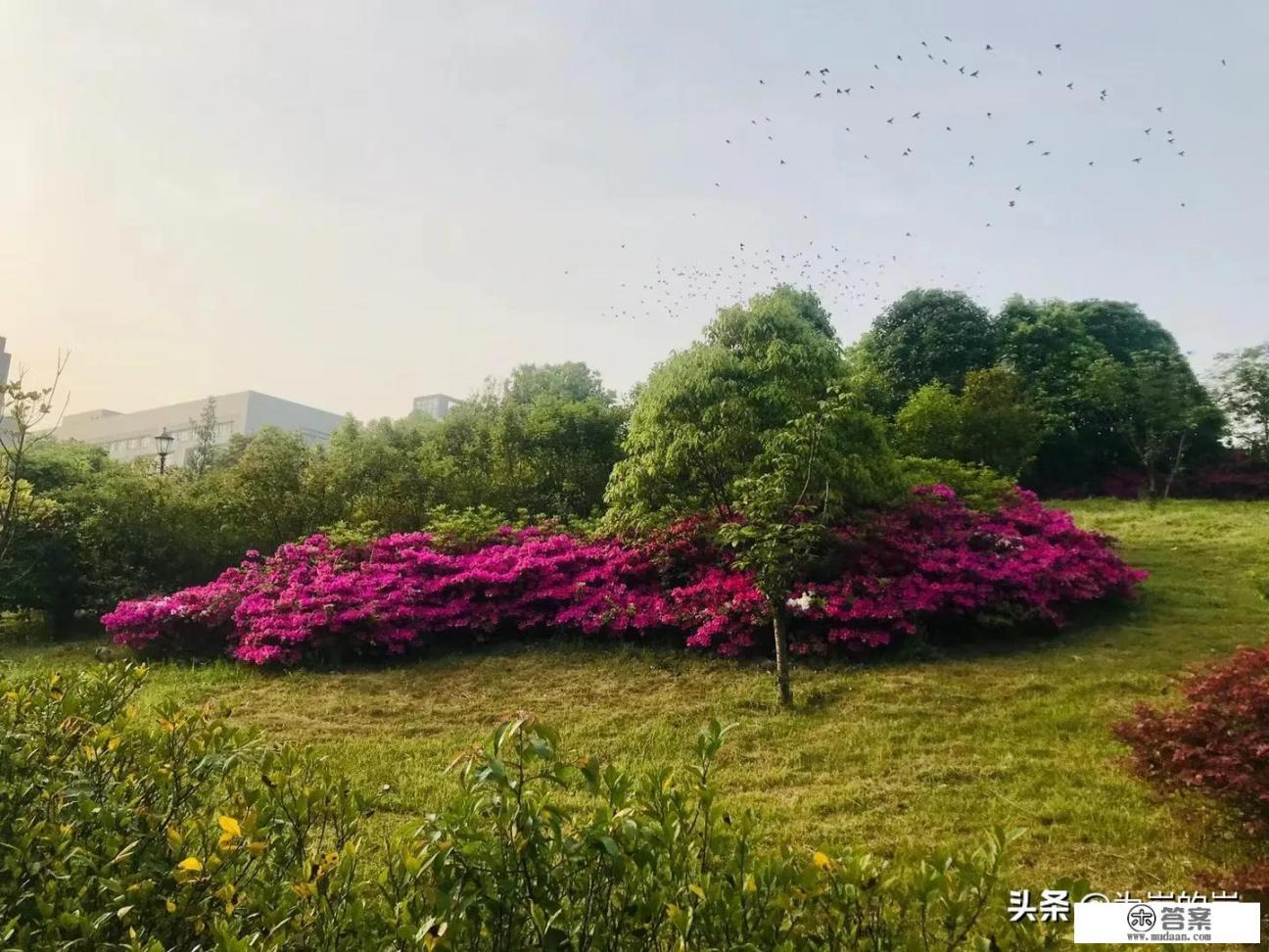 张雪峰谈十大冷门专业？