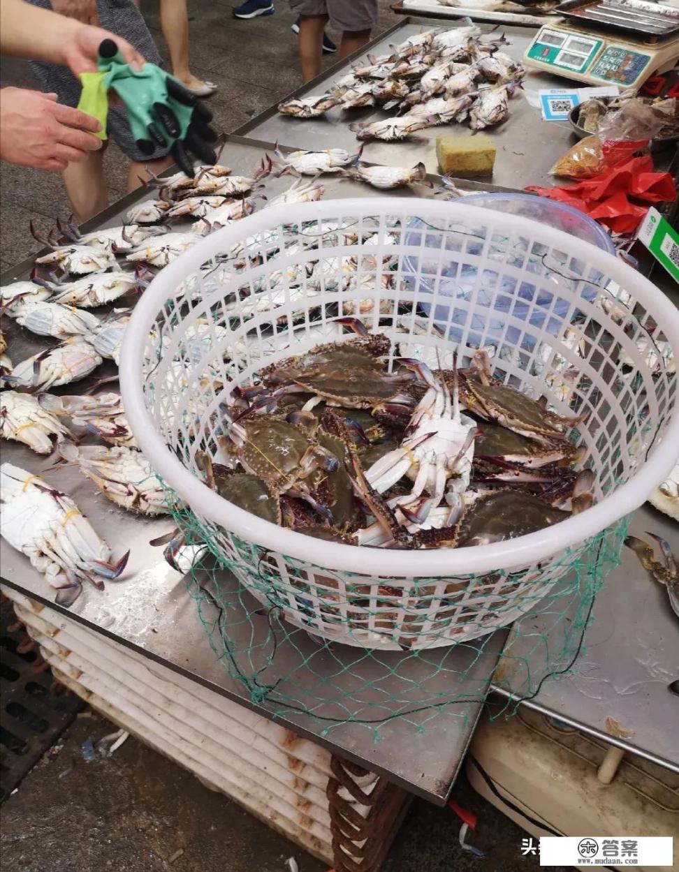 青岛螃蟹鲳鱼价格大跳水，国庆节前还会上涨。你怎么看？