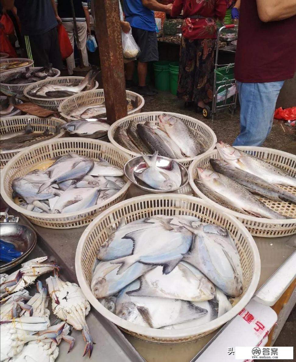 青岛螃蟹鲳鱼价格大跳水，国庆节前还会上涨。你怎么看？