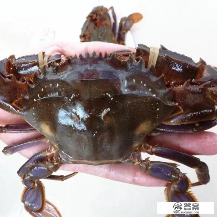 青岛螃蟹鲳鱼价格大跳水，国庆节前还会上涨。你怎么看？