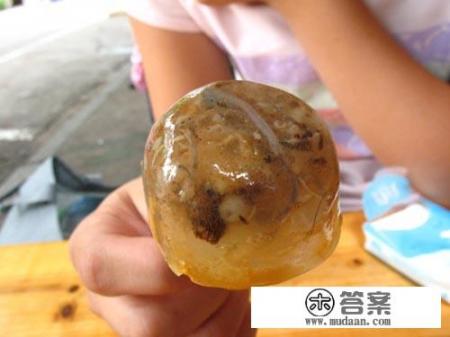 福建的土笋冻是怎么做出来的？