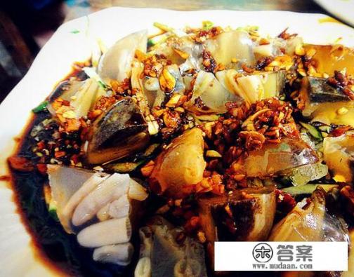 福建的土笋冻是怎么做出来的？