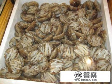 福建的土笋冻是怎么做出来的？