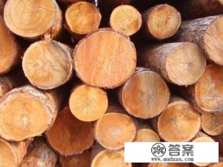 榉木的优缺点? 榉木的优缺点?