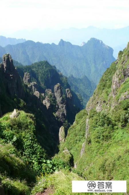 神农架深处到底有什么秘密,为何会成为禁区? 神农架深处到底有什么秘密,为何会成为禁区?