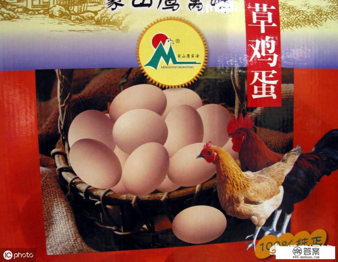 土鸡蛋和草鸡蛋的区别？