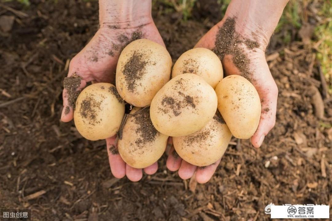 土鸡蛋和草鸡蛋的区别？