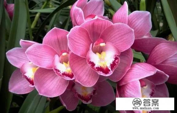 关于小说《红与黑》的困惑：男主人公于连、莱纳夫人和马蒂尔德三个人之间到底谁对谁产生过爱情？