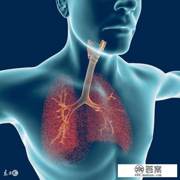 乙酰半胱氨酸泡腾片要怎么服用的？