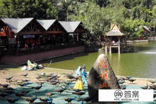 西双版纳必去的5大旅游景区? 西双版纳必去的5大旅游景区?