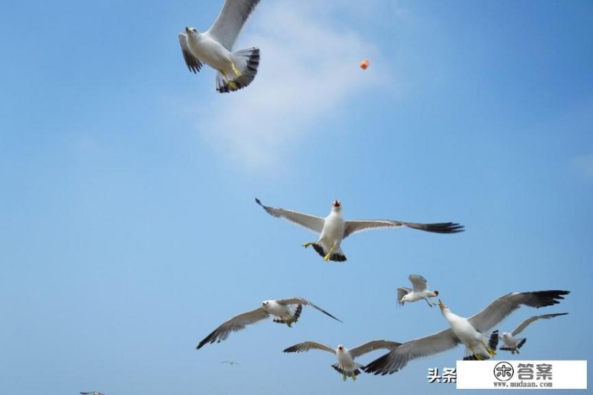 大连旅游朋友圈文案? 大连旅游朋友圈文案?