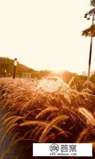 故宫最有特色的两个景色介绍