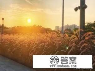 故宫最有特色的两个景色介绍