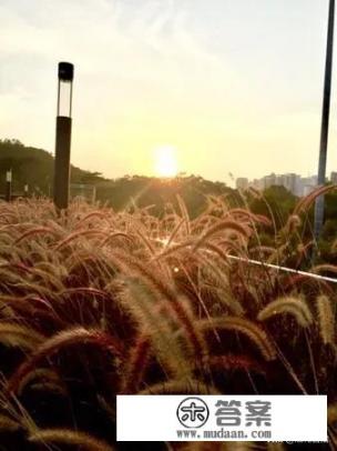 故宫最有特色的两个景色介绍