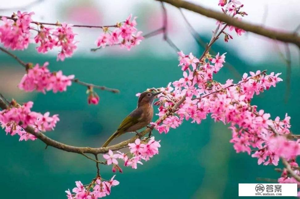 8月大连旅游能去吗? 8月大连旅游能去吗?