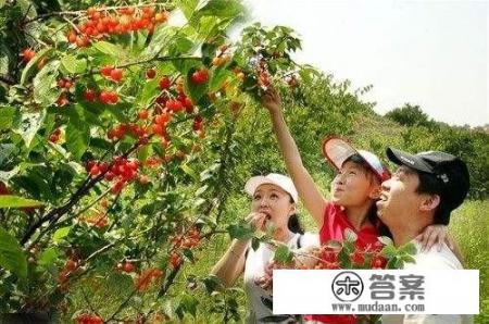 8月大连旅游能去吗? 8月大连旅游能去吗?