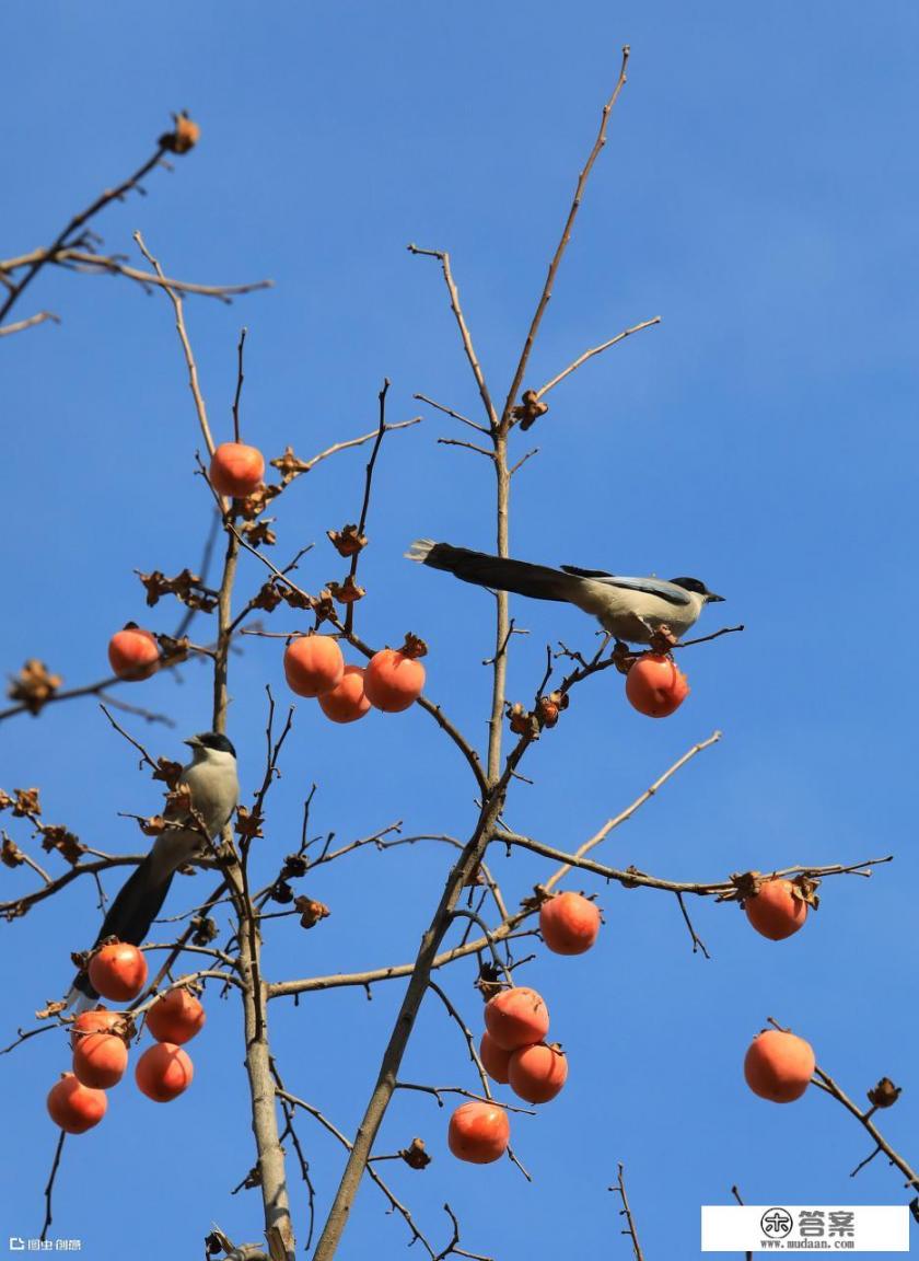 报喜不报忧是一个男人的成长必修课是什么意思？