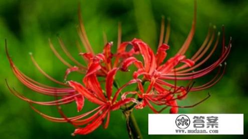 报喜不报忧是一个男人的成长必修课是什么意思？