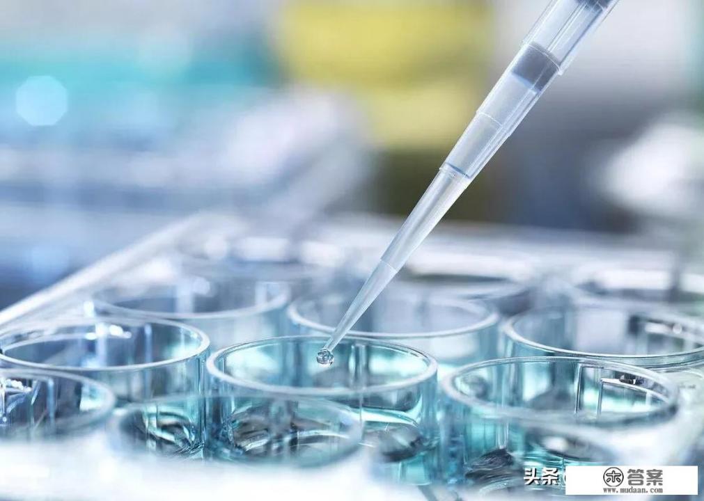 吃什么能抗氧化，抗衰老？