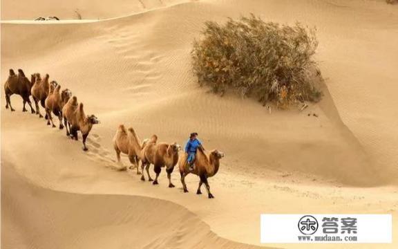 新疆有哪些景色值得一看，内地人来不能错过哪些美景和美食？