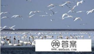 赤峰旅游攻略必玩的景点？