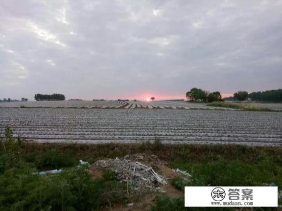 扶余县有多少个乡镇? 扶余县有多少个乡镇?