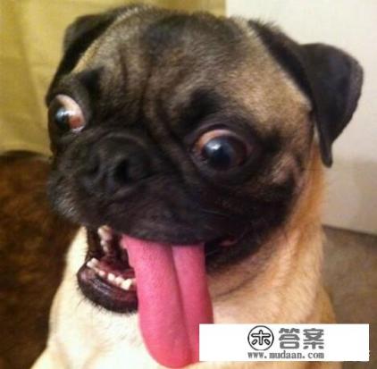 大学生为什么会过度消费？