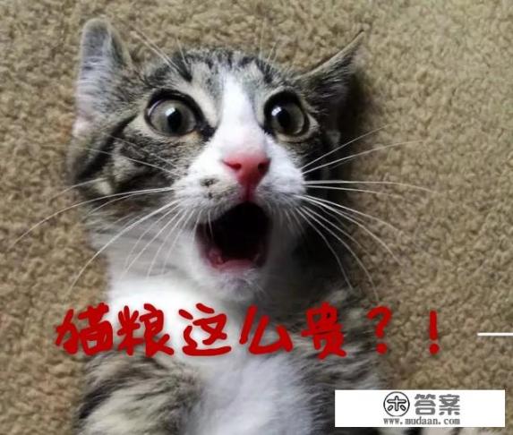 大学生为什么会过度消费？