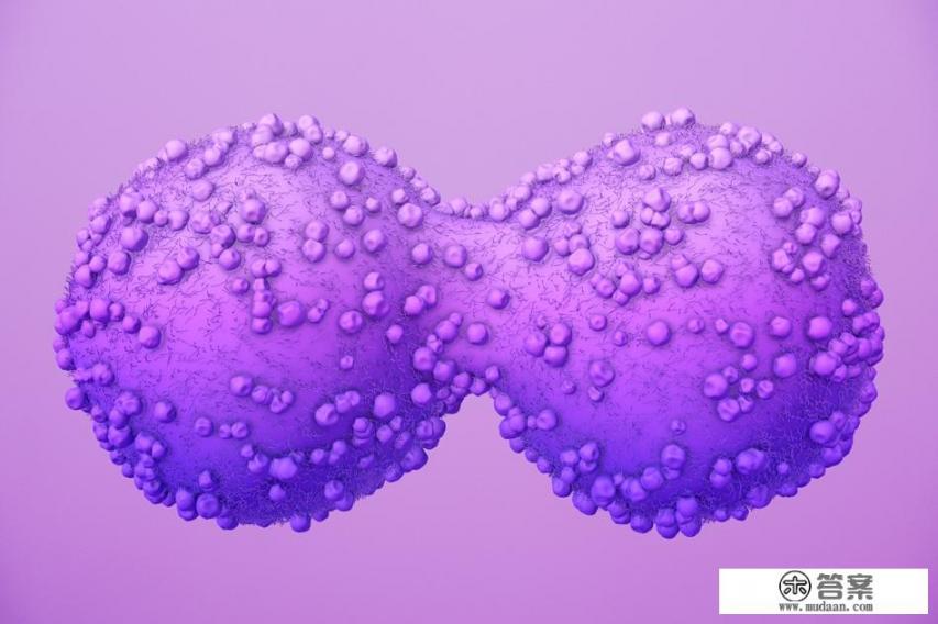 由癌细胞进化而来的动物？