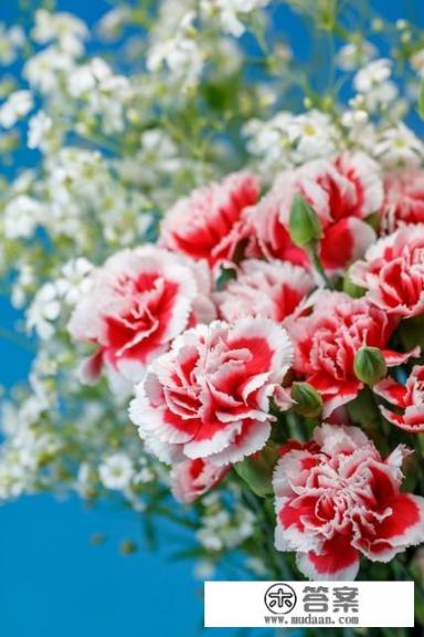 奥密克戎ba5与7区别? 奥密克戎ba5与7区别?