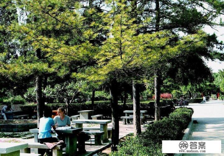 陕师大免费师范生毕业去向？